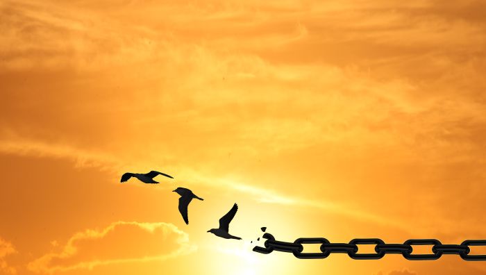 Image of birds breaking free from a chain at sunset to symbolise freedom and forgiveness